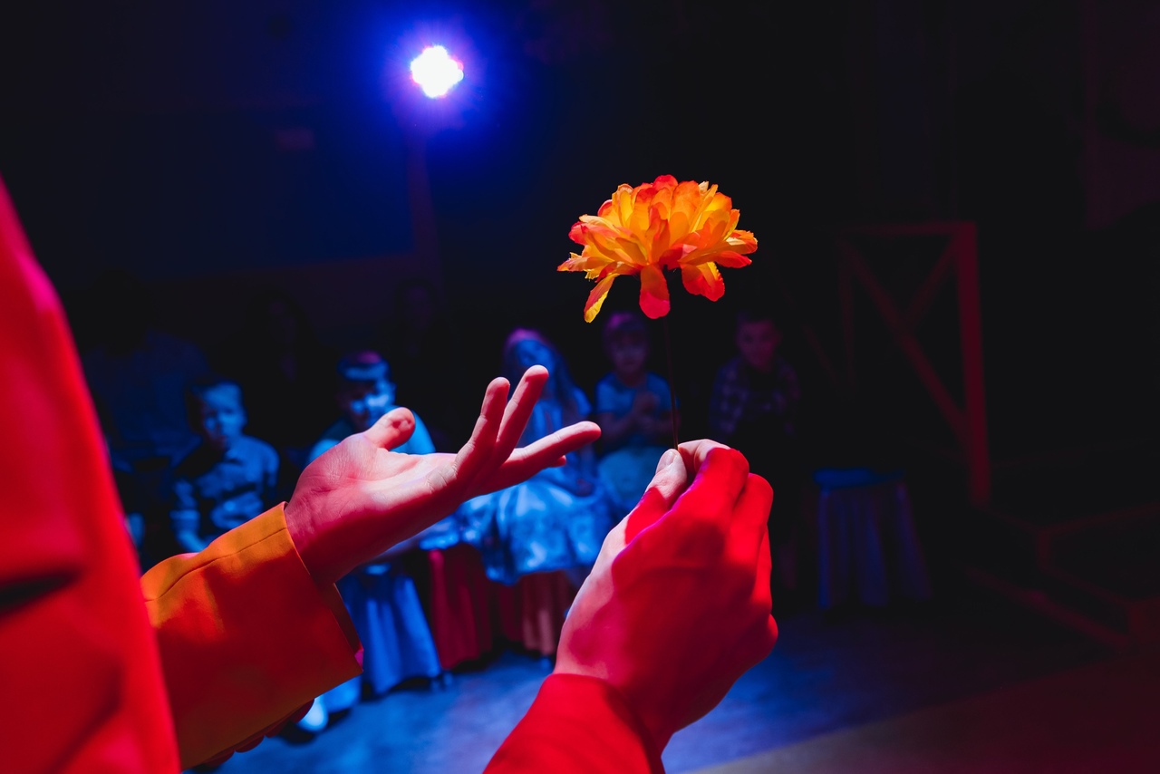 Шоу Фокусов «Иллиюзиум»